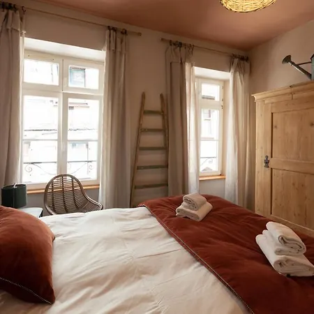 Appartement A Travers Champs Avec Sauna Et Parking Colmar Exterior photo