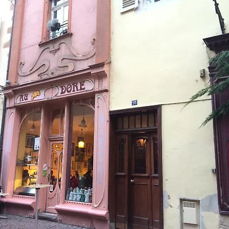 Appartement A Travers Champs Avec Sauna Et Parking Colmar Exterior photo